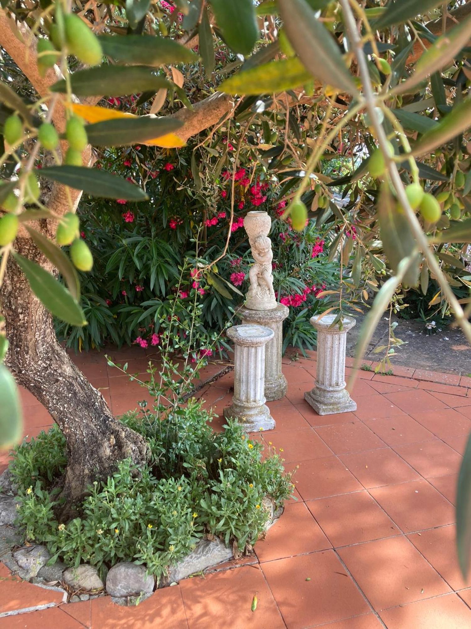 Country House La Collina Di Bargiano - Casa Raffaella Allerona Zewnętrze zdjęcie