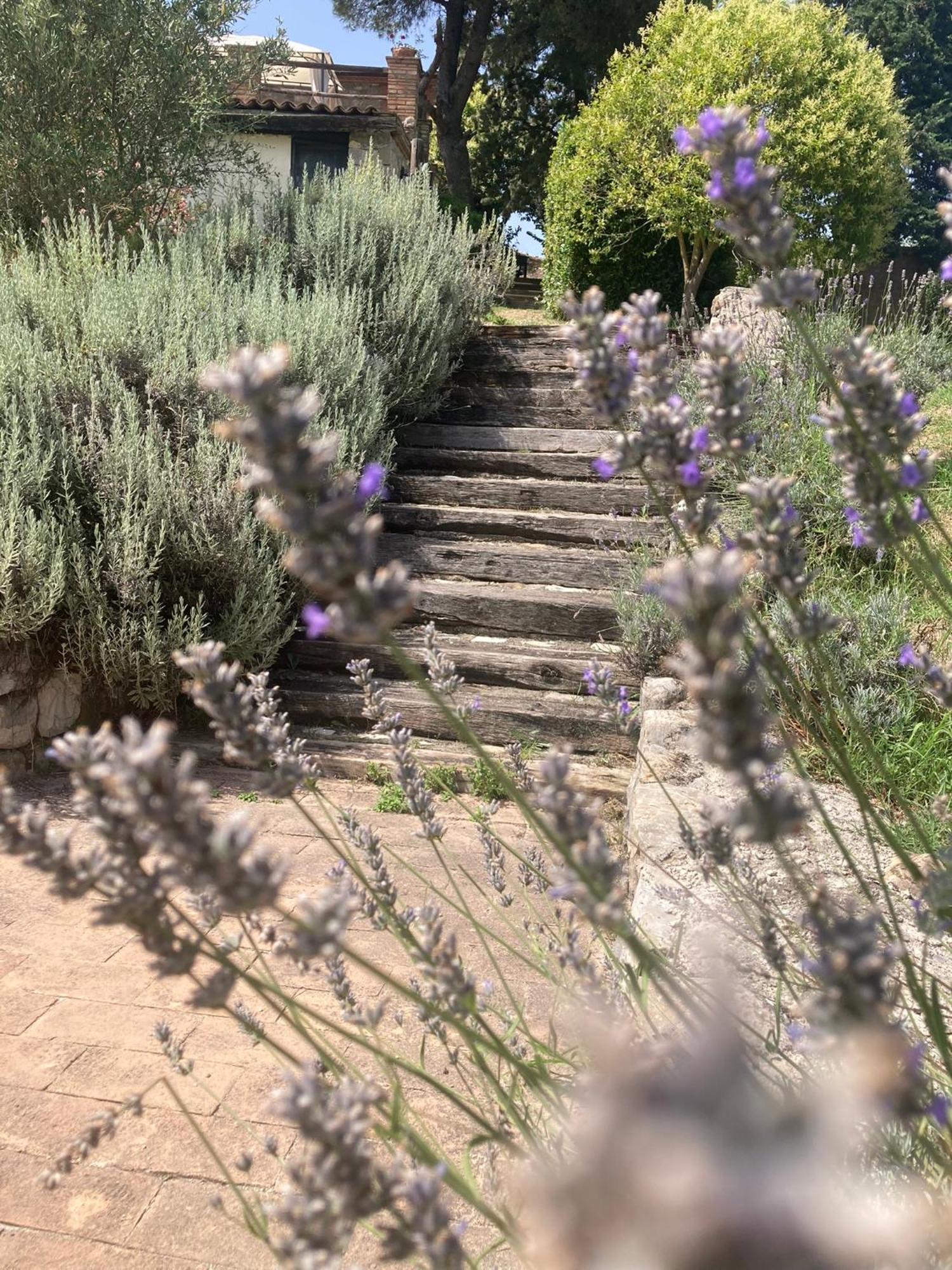 Country House La Collina Di Bargiano - Casa Raffaella Allerona Zewnętrze zdjęcie